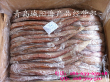 細鱗魚冷凍加工 現(xiàn)代水產(chǎn)品批發(fā)與供應(yīng)的優(yōu)質(zhì)選擇