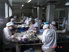 代辦北京大興區(qū)6823三類醫(yī)療器械銷(xiāo)售許可證 專業(yè)、合規(guī)、高效服務(wù)指南